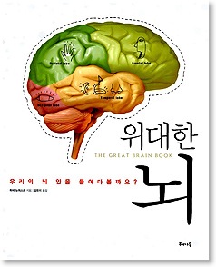 Brain Cover Korea